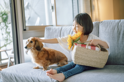 動物はなぜ人より先に死ぬの 子どもも納得 飼育員さんの答え Conobie コノビー