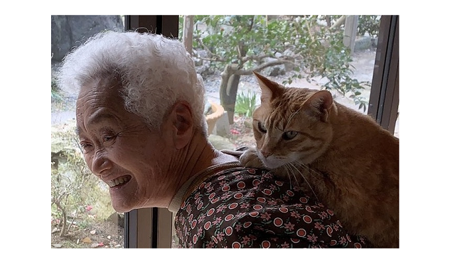 小さなおばあちゃんとでっかい猫ちゃん。幸せそうな１人と１匹の日常のタイトル画像