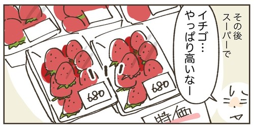 Xmasケーキは市販か手作りか…恒例の悩みに2パックのイチゴが終止符を打つのタイトル画像