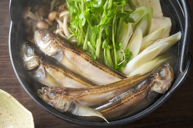 【都道府県クイズ】県魚は別名「カミナリウオ」。世界でもレアな「冬に雷が鳴る」この県は？のタイトル画像