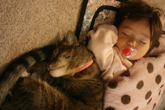 これは言ってる（笑）猫「子どもの相手してるんだから『おやつ、はずめよ』。」の画像1
