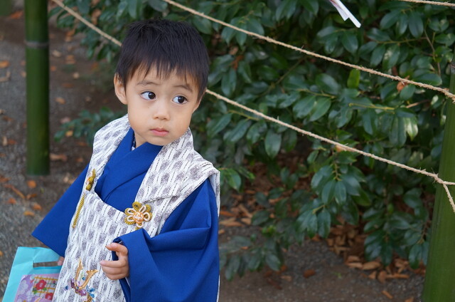 男の子の3歳の七五三はいつ・どのように行う？祝い方やお参り時の服装をご紹介のタイトル画像