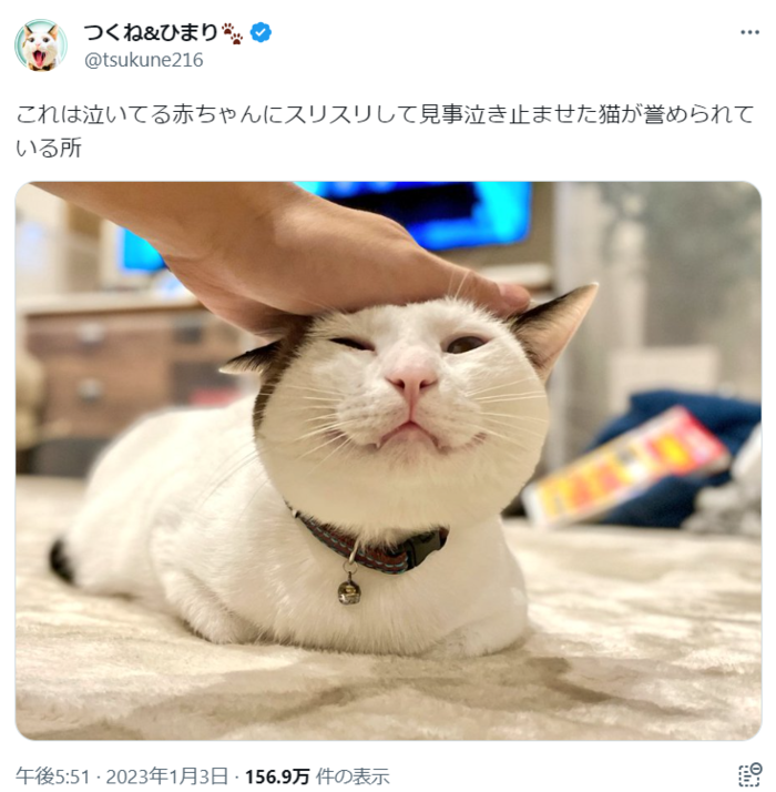 これ以上ないほどの「ドヤ顔」（笑）猫ちゃんが誇らしげな理由とは？の画像1