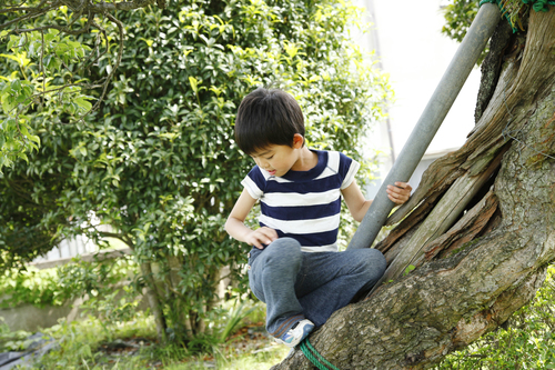 この子は大変そうだな…。その一言にカッとなり気づいた自分の「忘れもの」のタイトル画像