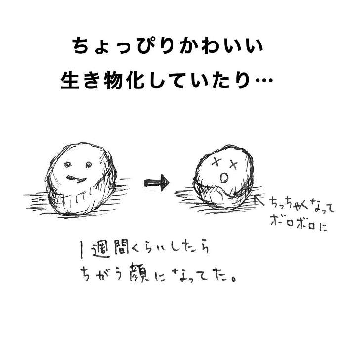 筆箱に大量に詰まっていたのは……！？小学生男子の不可思議すぎる生態（笑）の画像7