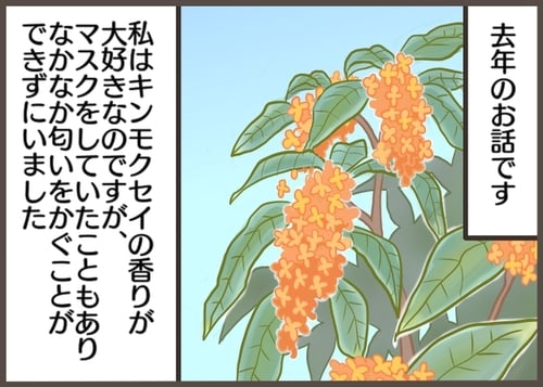 お母さんの好きな「キンモクセイ」がどこにもない。すると息子は…のタイトル画像